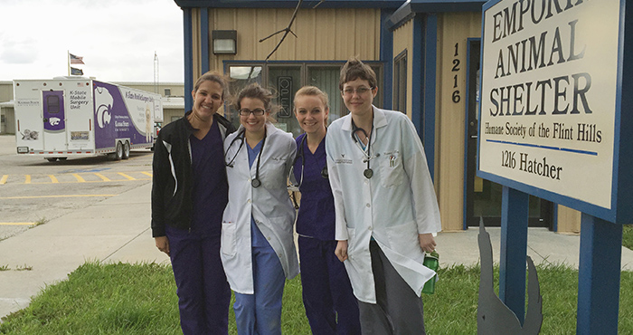 K state 2024 vet clinic