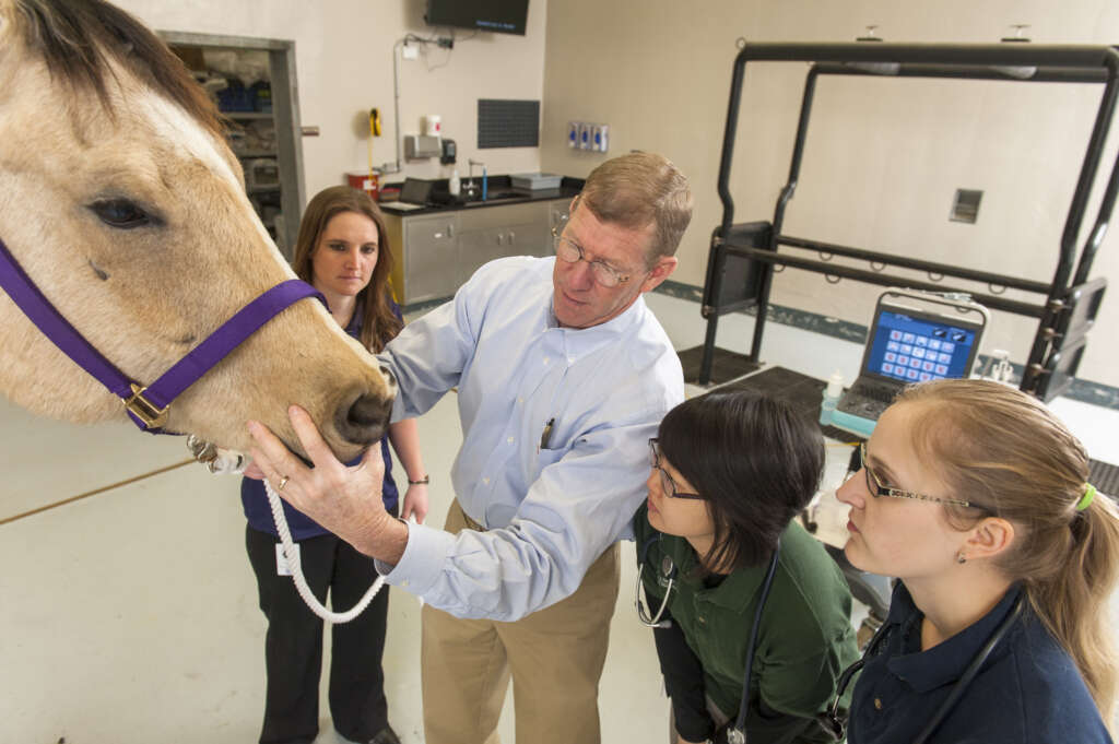 College of Veterinary Medicine