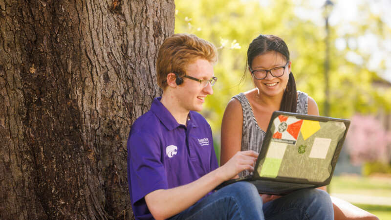 students using laptop sitting next to tree