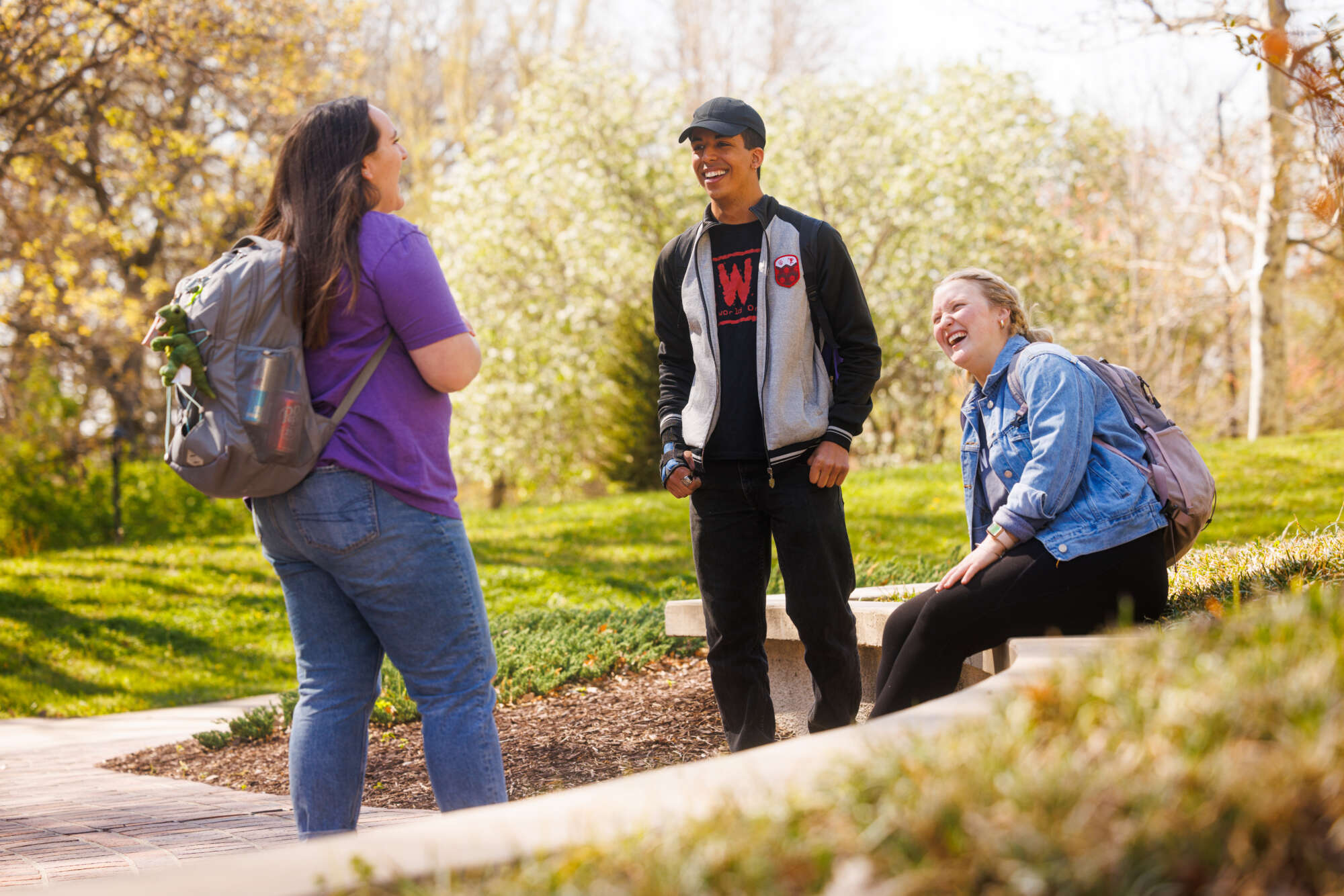 Improving mental health services Kansas State University Foundation