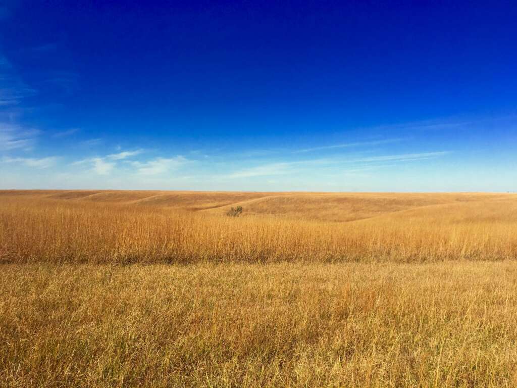 Konza prairie 