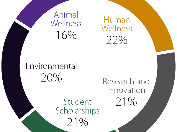 Human Wellness 22%, Research and Innovation 21%, Student Scholarships 21%, Environmental 20%, Animal Wellness 16%