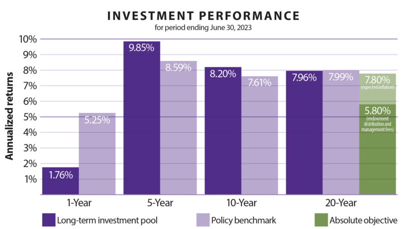 investment performance column chart