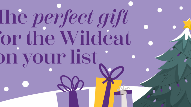 illustration of snow, a holiday tree and gifts, with the text "The perfect gift for the Wildcat on your list"