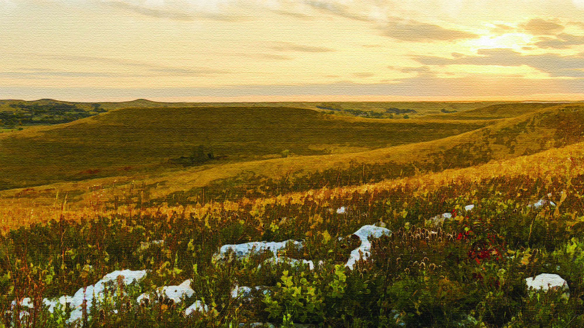 painting of konza prairie