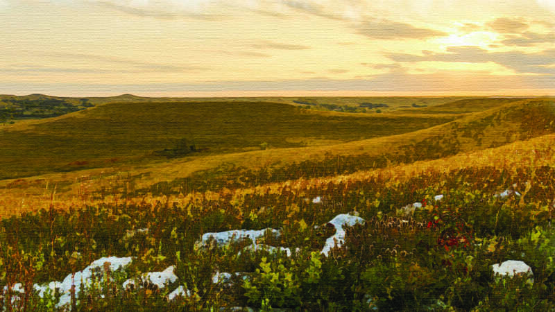 painting of konza prairie