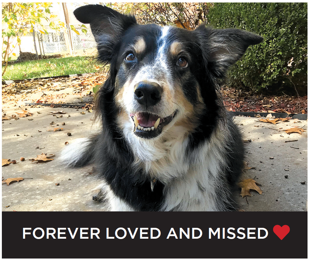 pet tribute keepsake