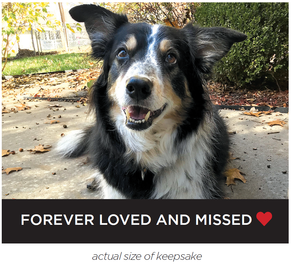 pet tribute keepsake